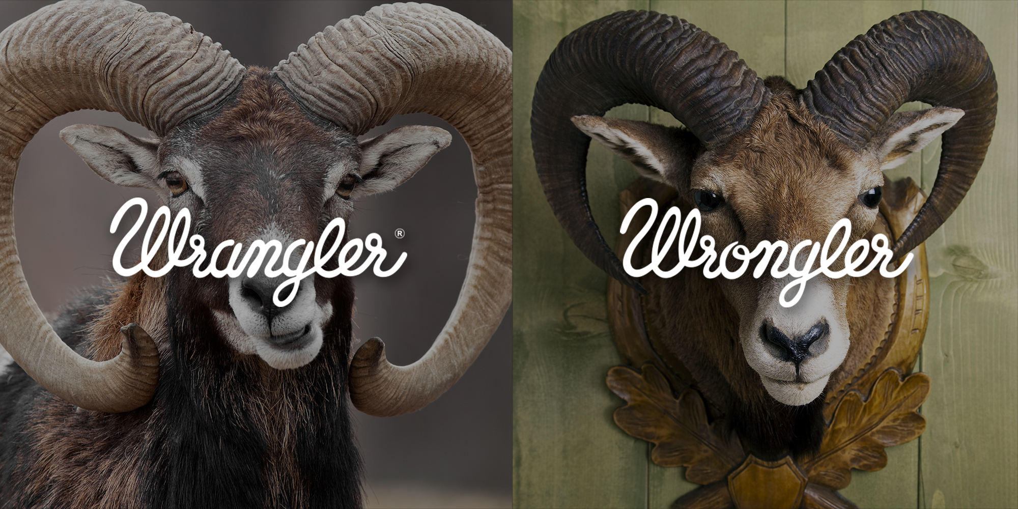 WRANGLER_WRONGLER__0001_13